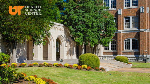 UTHSC Zoom/Teams  background with the arches.