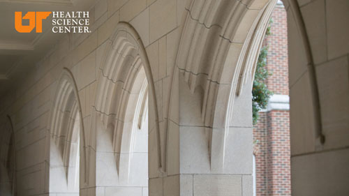 UTHSC Zoom/Teams background that is an interior shot of the arches.