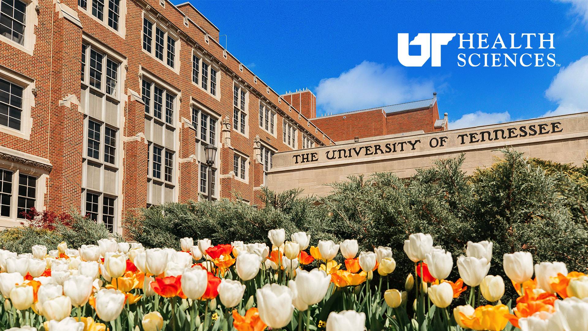 The entrance to the UT Health Sciences campus with the Johnson building in the background and tulips in the foreground with logo.