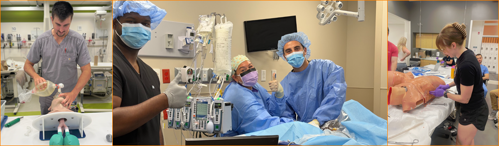 Residents working on a lab setting
