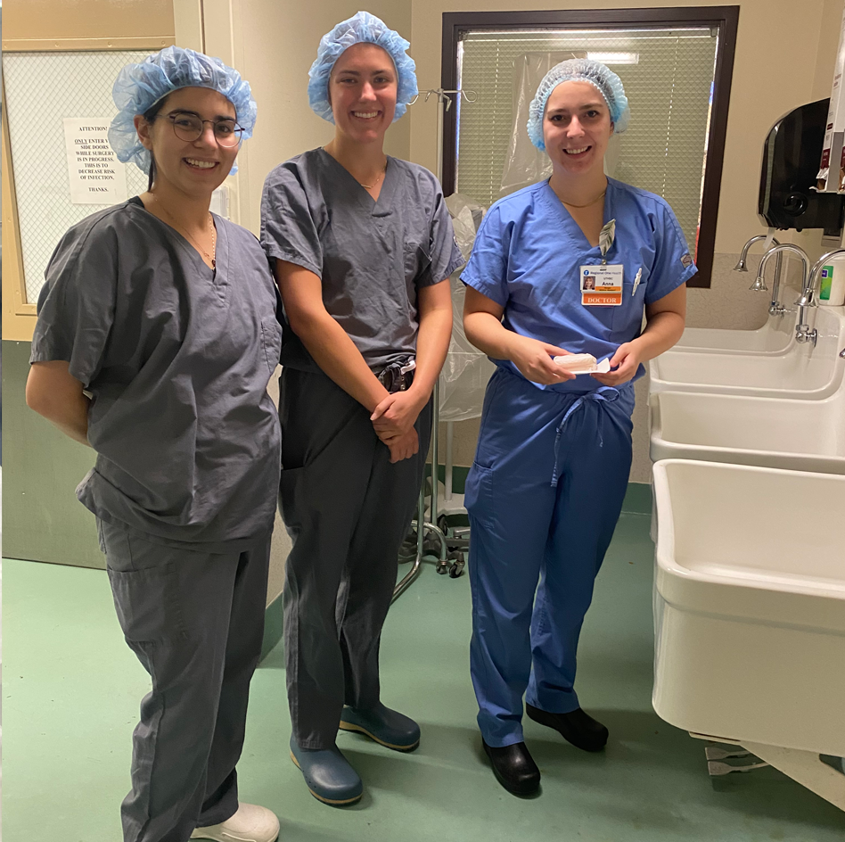 Three med students in scrubs in a hospital setting