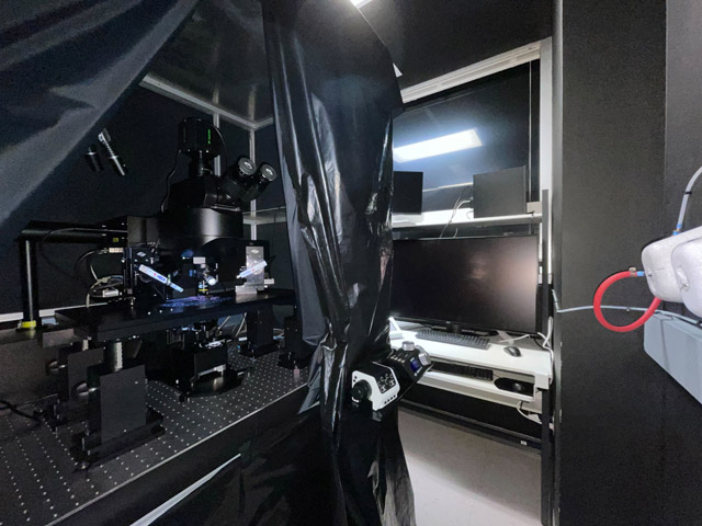 Multiphoton Microscope