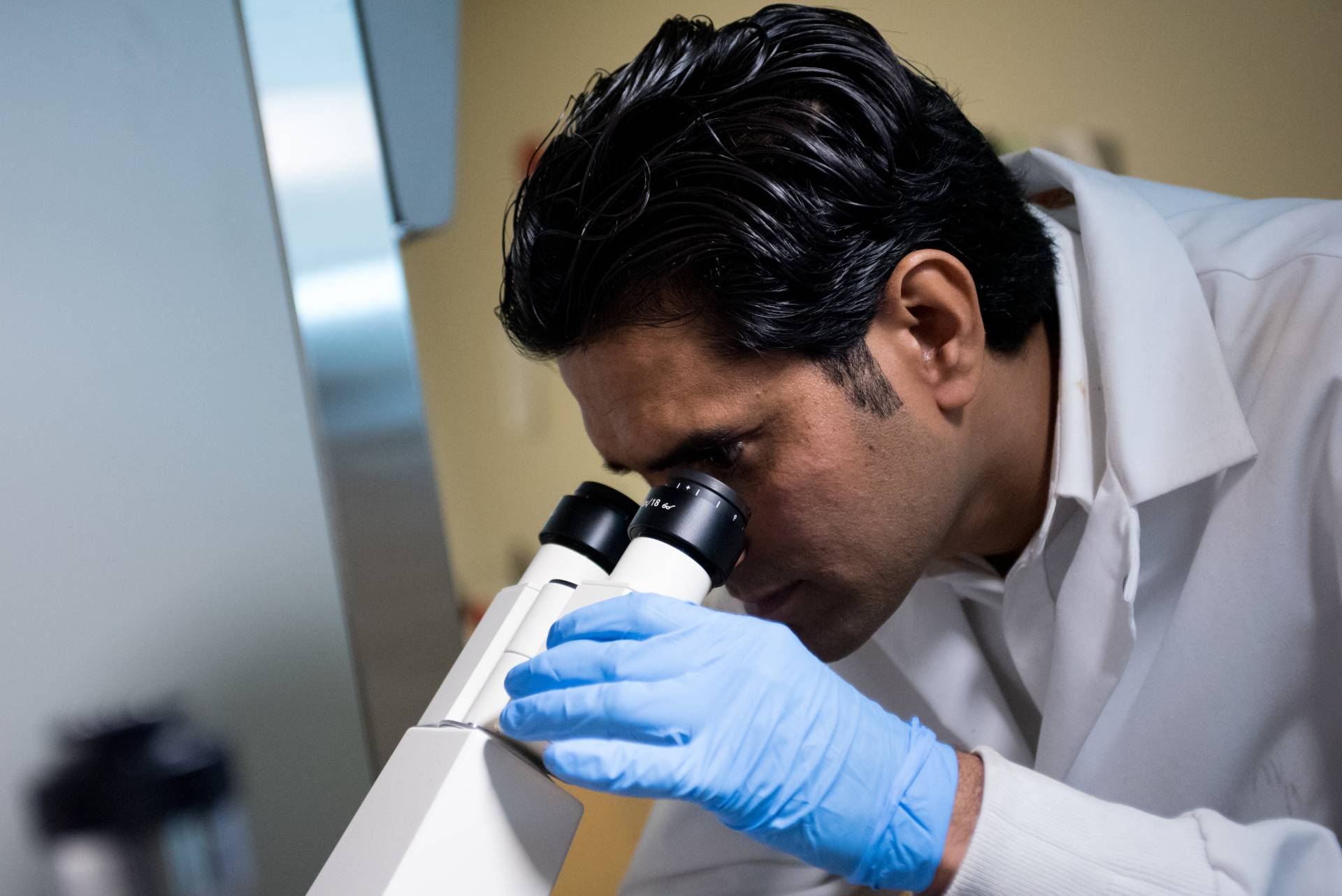 Pharmacy PhD student in a laboratory setting.