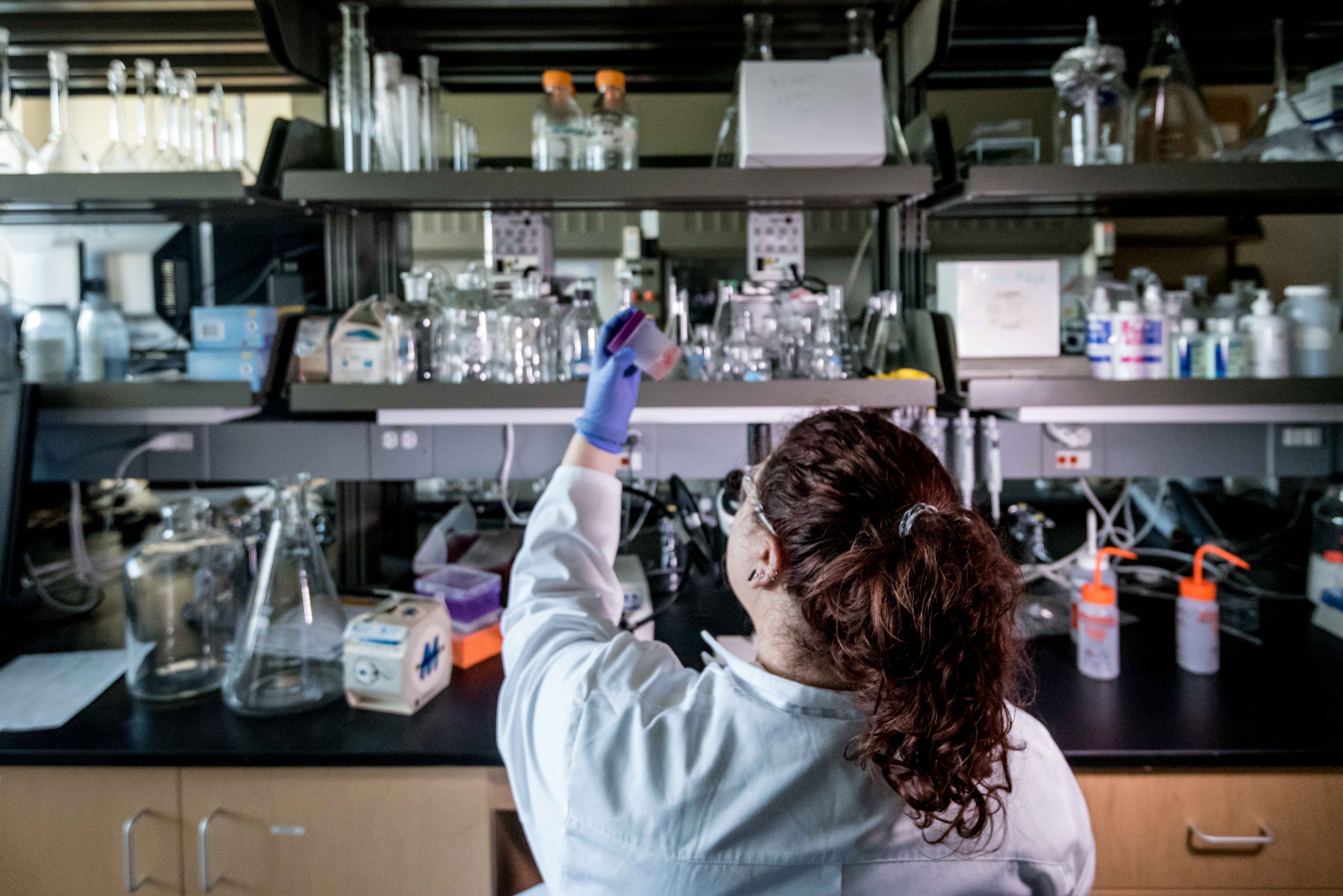 Pharmacy PhD student in a laboratory setting.