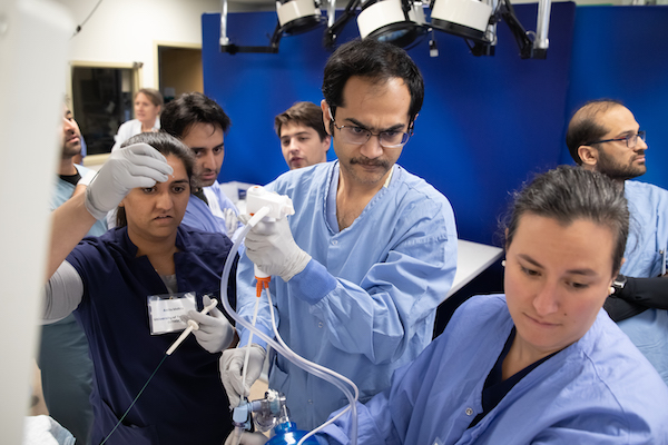 Fellows in a clinical training setting