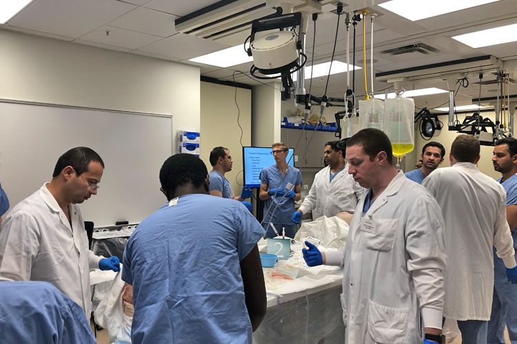 Fellows training in the operating room