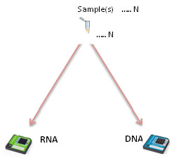 Agilent 2100 Bioanalyzer Diagram